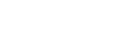 synapsweb